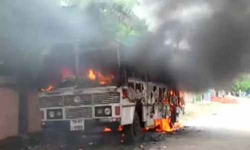 bus